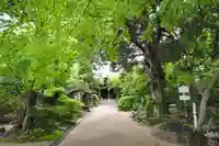 浄瑠璃寺(愛媛県)