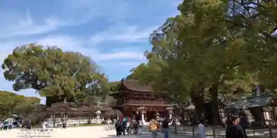 太宰府天満宮(福岡県)