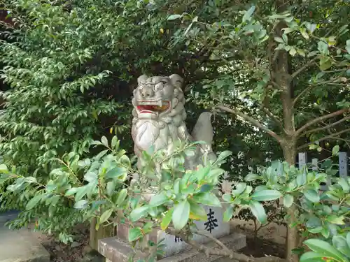 意賀美神社の狛犬