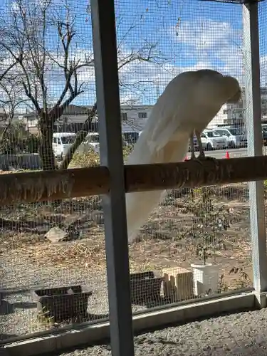 進雄神社(群馬県)