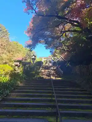 日向大神宮(京都府)