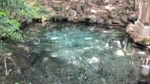 泉神社(茨城県)