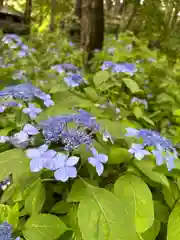 水戸八幡宮(茨城県)