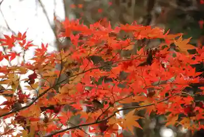東行庵(山口県)