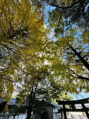 高良神社(京都府)