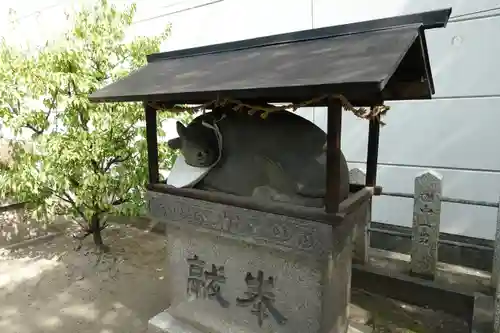 大隅神社の狛犬