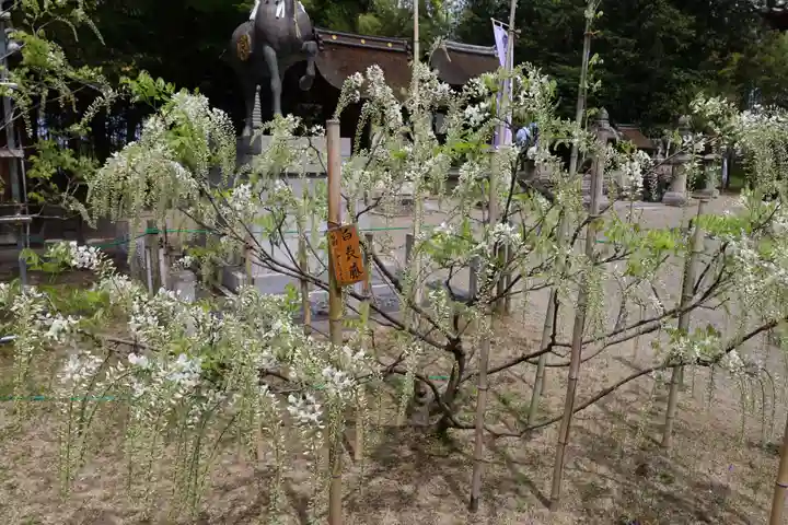 志那神社(滋賀県)