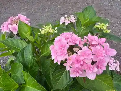 美奈宜神社(福岡県)