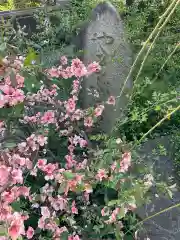 芳林寺の建物その他