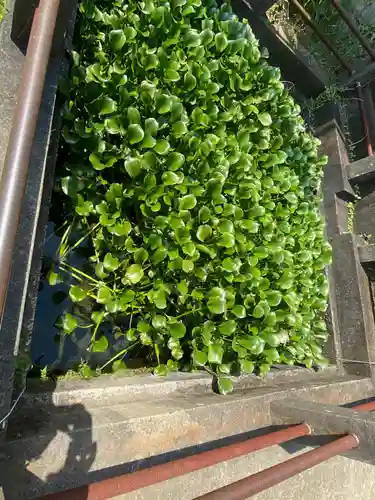 善応寺(茨城県)