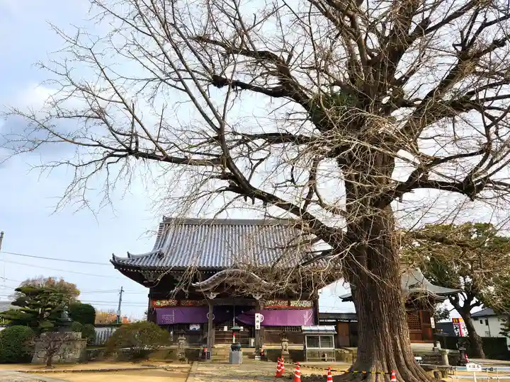 地蔵寺(徳島県)