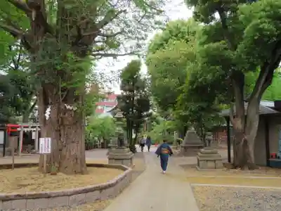 鳩森八幡神社のその他建物