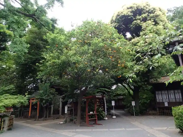 七社神社の自然