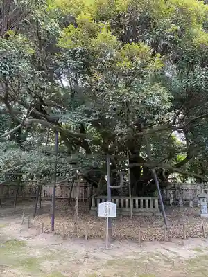 大樹寺（松安院大樹寺）(愛知県)