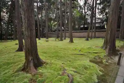 唐招提寺(奈良県)