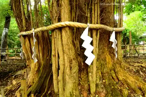 大國魂神社(東京都)