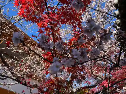 稱名院(東京都)