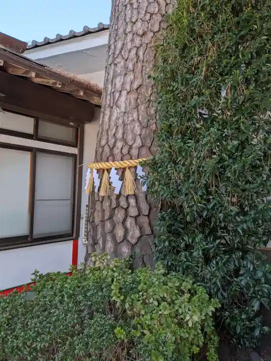 中野沼袋氷川神社(東京都)