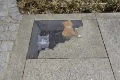 櫻木神社(千葉県)