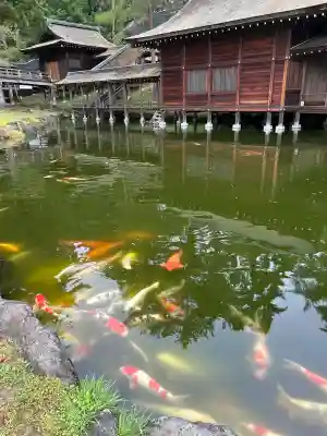 身曾岐神社(山梨県)