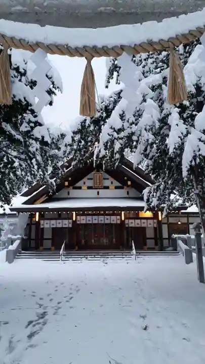 新琴似神社の本殿・本堂