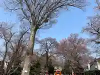 村富神社(神奈川県)