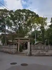 今井神社の鳥居