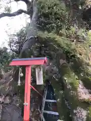 山宮神社(鹿児島県)