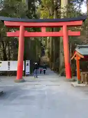 箱根神社の鳥居