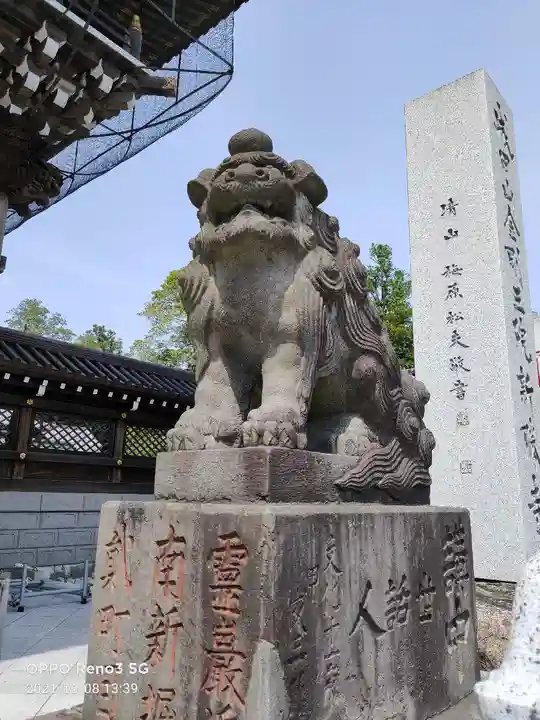 成田山新勝寺の狛犬