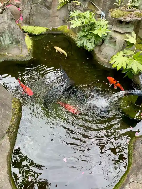 寿永寺の{uncategorized: "未分類", other: "その他", undefined: "問題あり", building: "その他建物", grave: "お墓", sacred_gate: "鳥居", guardian: "狛犬", statue: "像", buddha: "仏像", history: "歴史", nature: "自然", garden: "庭園", animal: "動物", pagoda: "塔", temizu: "手水舎", mountain_gate: "山門・神門", sanctuary: "本殿・本堂", subordinate: "末社・摂社", art: "芸術", scenery: "景色", jizo: "地蔵", ema: "絵馬", goshuin: "御朱印", omikuji: "おみくじ", items: "授与品その他", amulet: "お守り", goshuincho: "御朱印帳", eats: "食事", festival: "お祭り", votive_dance: "神楽", shichigosan: "七五三参", wedding: "結婚式", experience: "体験その他", initially: "初詣", around: "周辺", anti_infection: "感染症対策"}