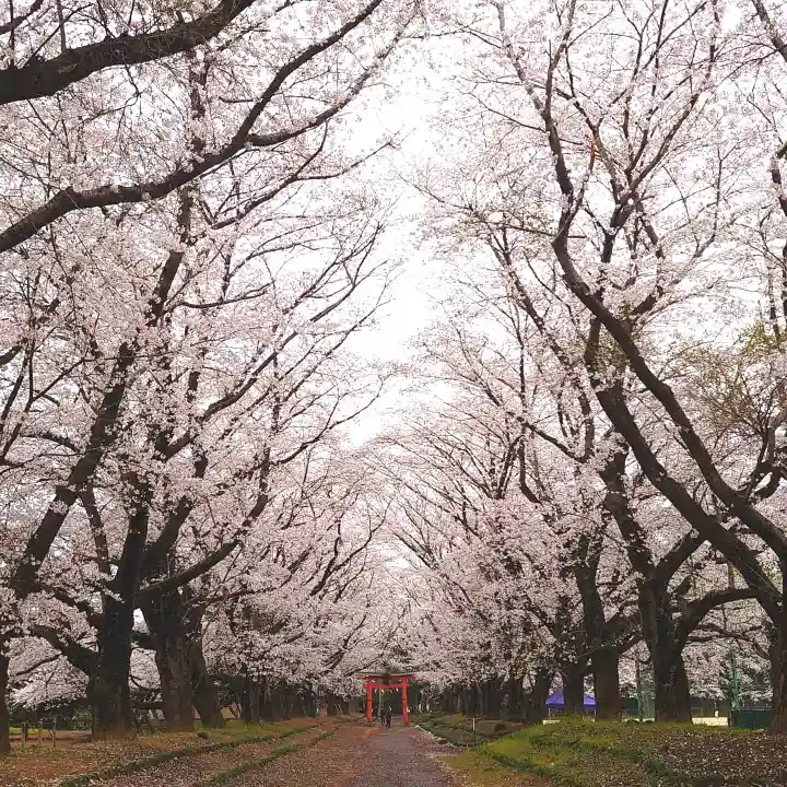 東蕗田天満社の自然