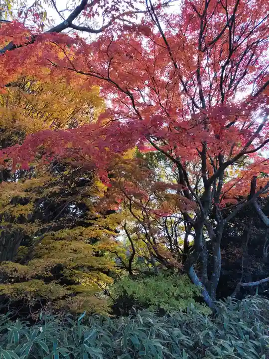 忉利天上寺(兵庫県)
