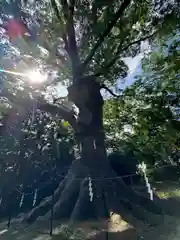 愛宕神社(福島県)