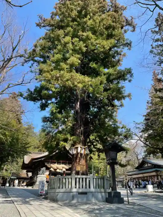 諏訪大社下社秋宮の{uncategorized: "未分類", other: "その他", undefined: "問題あり", building: "その他建物", grave: "お墓", sacred_gate: "鳥居", guardian: "狛犬", statue: "像", buddha: "仏像", history: "歴史", nature: "自然", garden: "庭園", animal: "動物", pagoda: "塔", temizu: "手水舎", mountain_gate: "山門・神門", sanctuary: "本殿・本堂", subordinate: "末社・摂社", art: "芸術", scenery: "景色", jizo: "地蔵", ema: "絵馬", goshuin: "御朱印", omikuji: "おみくじ", items: "授与品その他", amulet: "お守り", goshuincho: "御朱印帳", eats: "食事", festival: "お祭り", votive_dance: "神楽", shichigosan: "七五三参", wedding: "結婚式", experience: "体験その他", initially: "初詣", around: "周辺", anti_infection: "感染症対策"}