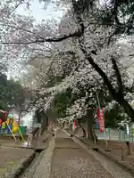 三芳野神社(埼玉県)