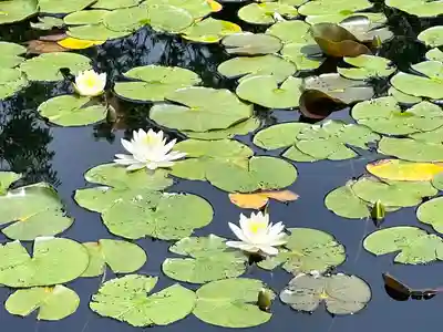 山之神(滋賀県)
