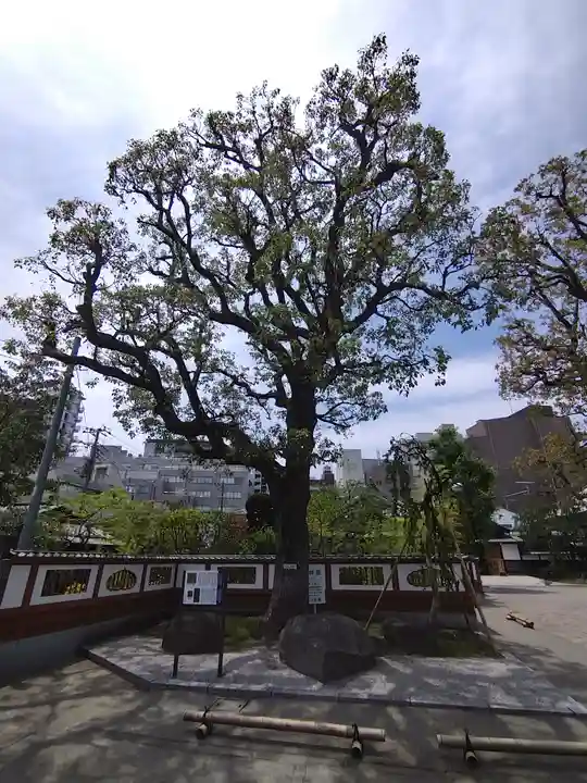 天妙国寺(東京都)