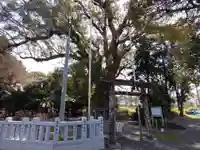 伊勢神明社(静岡県)