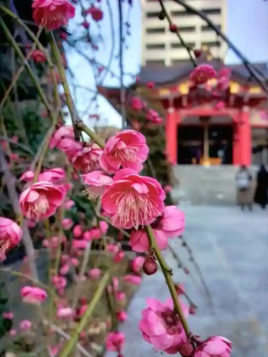 成子天神社(東京都)