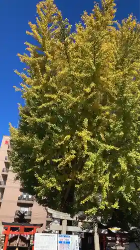 瀧宮神社(広島県)