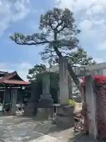賢勝院の{uncategorized: "未分類", other: "その他", undefined: "問題あり", building: "その他建物", grave: "お墓", sacred_gate: "鳥居", guardian: "狛犬", statue: "像", buddha: "仏像", history: "歴史", nature: "自然", garden: "庭園", animal: "動物", pagoda: "塔", temizu: "手水舎", mountain_gate: "山門・神門", sanctuary: "本殿・本堂", subordinate: "末社・摂社", art: "芸術", scenery: "景色", jizo: "地蔵", ema: "絵馬", goshuin: "御朱印", omikuji: "おみくじ", items: "授与品その他", amulet: "お守り", goshuincho: "御朱印帳", eats: "食事", festival: "お祭り", votive_dance: "神楽", shichigosan: "七五三参", wedding: "結婚式", experience: "体験その他", initially: "初詣", around: "周辺", anti_infection: "感染症対策"}
