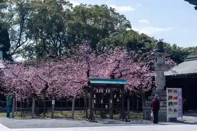 宮地嶽神社(福岡県)