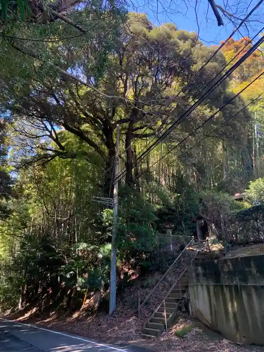 大崎馬頭観音(千葉県)