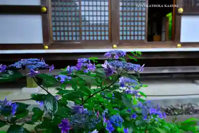 高幡不動尊　金剛寺(東京都)