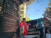 滑川神社 - 仕事と子どもの守り神の七五三参