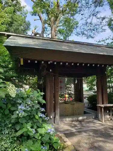 阿佐ヶ谷神明宮の手水舎