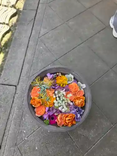 中院の{uncategorized: "未分類", other: "その他", undefined: "問題あり", building: "その他建物", grave: "お墓", sacred_gate: "鳥居", guardian: "狛犬", statue: "像", buddha: "仏像", history: "歴史", nature: "自然", garden: "庭園", animal: "動物", pagoda: "塔", temizu: "手水舎", mountain_gate: "山門・神門", sanctuary: "本殿・本堂", subordinate: "末社・摂社", art: "芸術", scenery: "景色", jizo: "地蔵", ema: "絵馬", goshuin: "御朱印", omikuji: "おみくじ", items: "授与品その他", amulet: "お守り", goshuincho: "御朱印帳", eats: "食事", festival: "お祭り", votive_dance: "神楽", shichigosan: "七五三参", wedding: "結婚式", experience: "体験その他", initially: "初詣", around: "周辺", anti_infection: "感染症対策"}