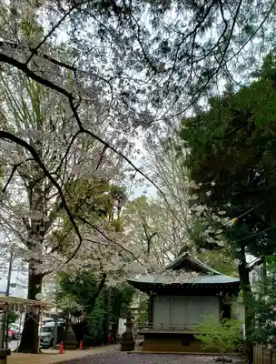 神明氷川神社のその他建物