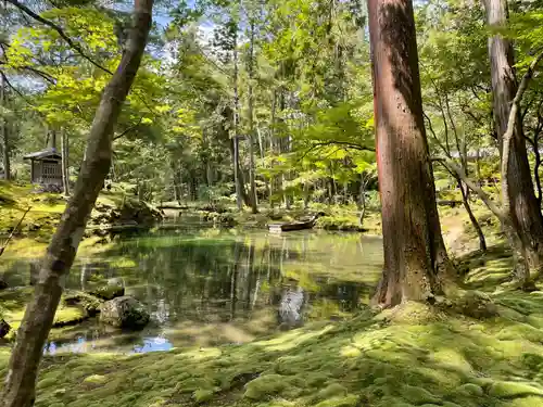 西芳寺(京都府)